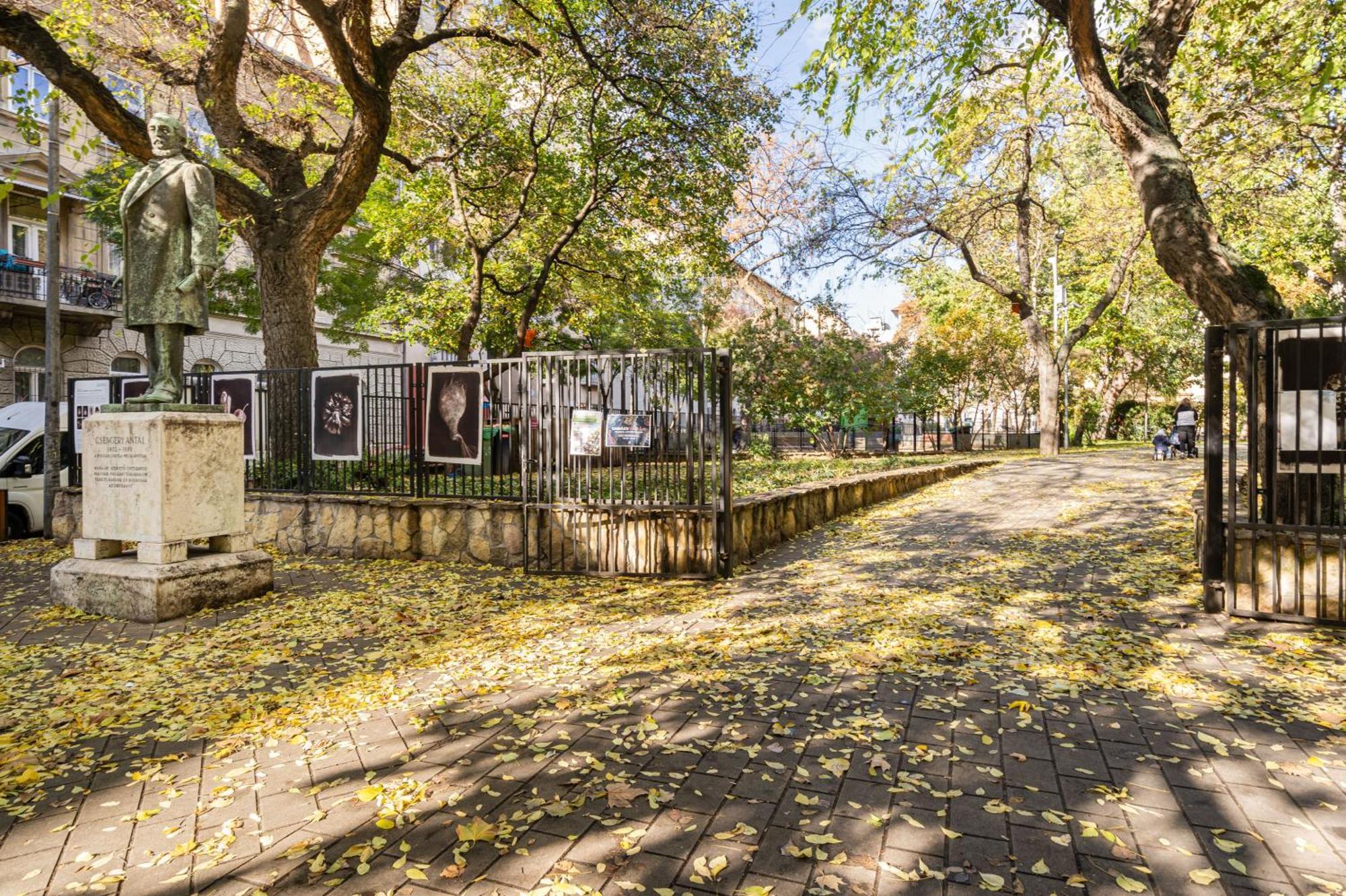 Myelegance Downtown Apartment Free Parking Budapest Exteriör bild